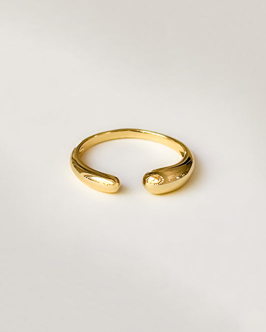 Asymmetrical Detached Ring