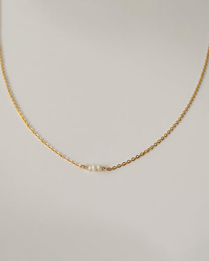 Charlotte Choker