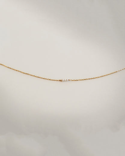 Charlotte Choker