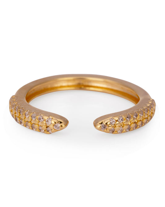 Paula Ring Pave Band